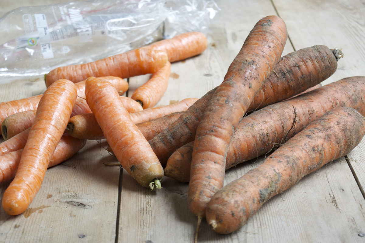 Winterpeen versus WINTERPEEN ⋆ Marijke Sterk Winterpeen versus WINTERPEEN ⋆ Marijke Sterk