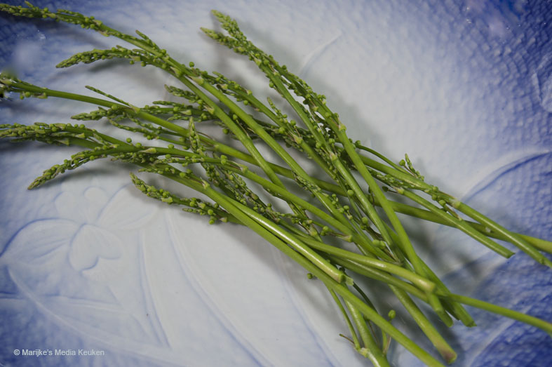 Bloemaren van de aspergeplant