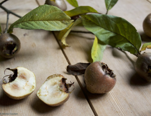 Mispels, mispellikeur en meer mispelrecepten