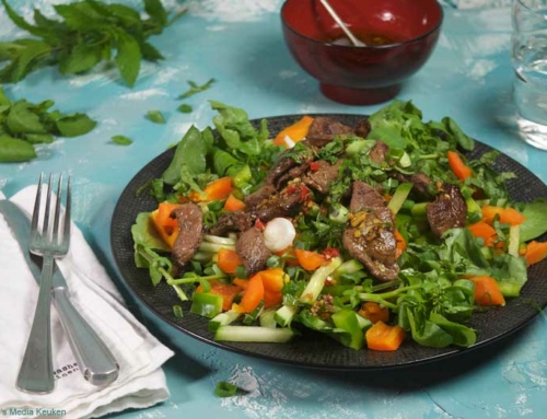Thaise salade met waterkers en reebiefstuk